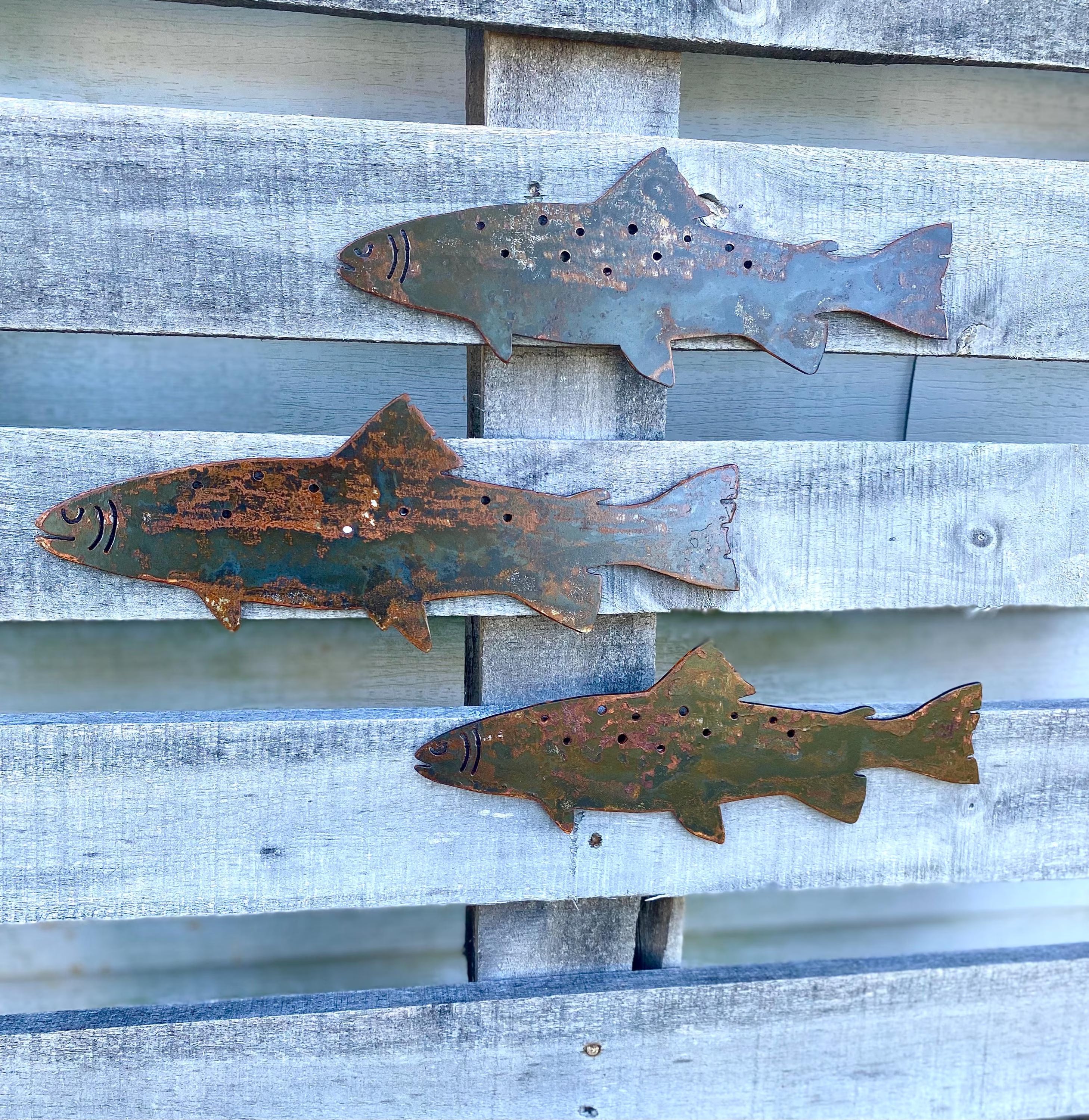 Rusted Metal Trout