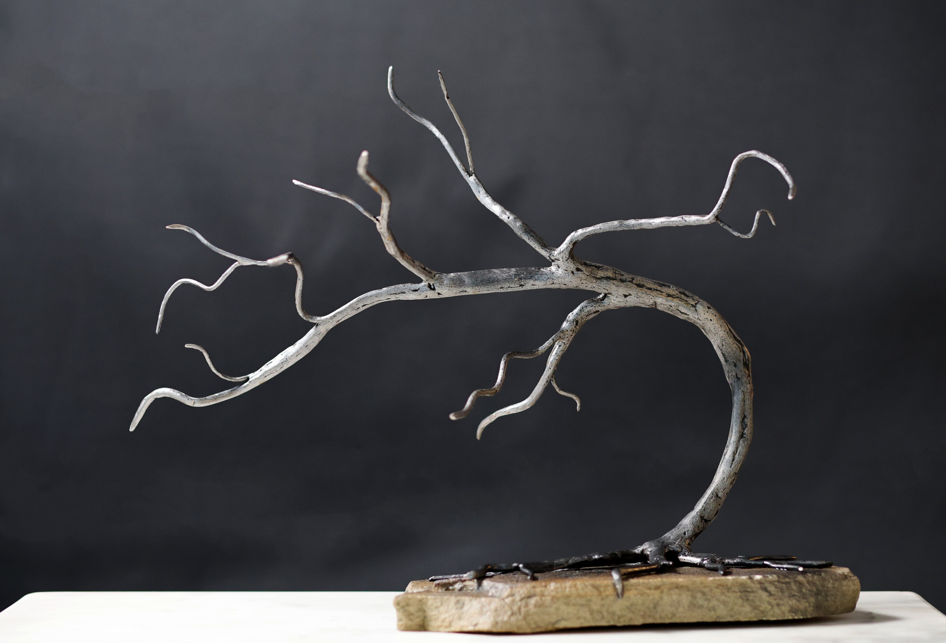 Weathered Bonsai (Steel and Stone)
