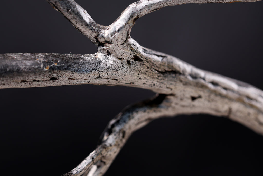 Weathered Bonsai (Steel and Stone)